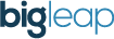 Big Leap Logo